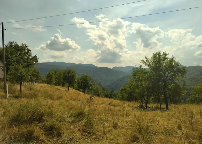 Ferienhaus Vikendica Varosiste